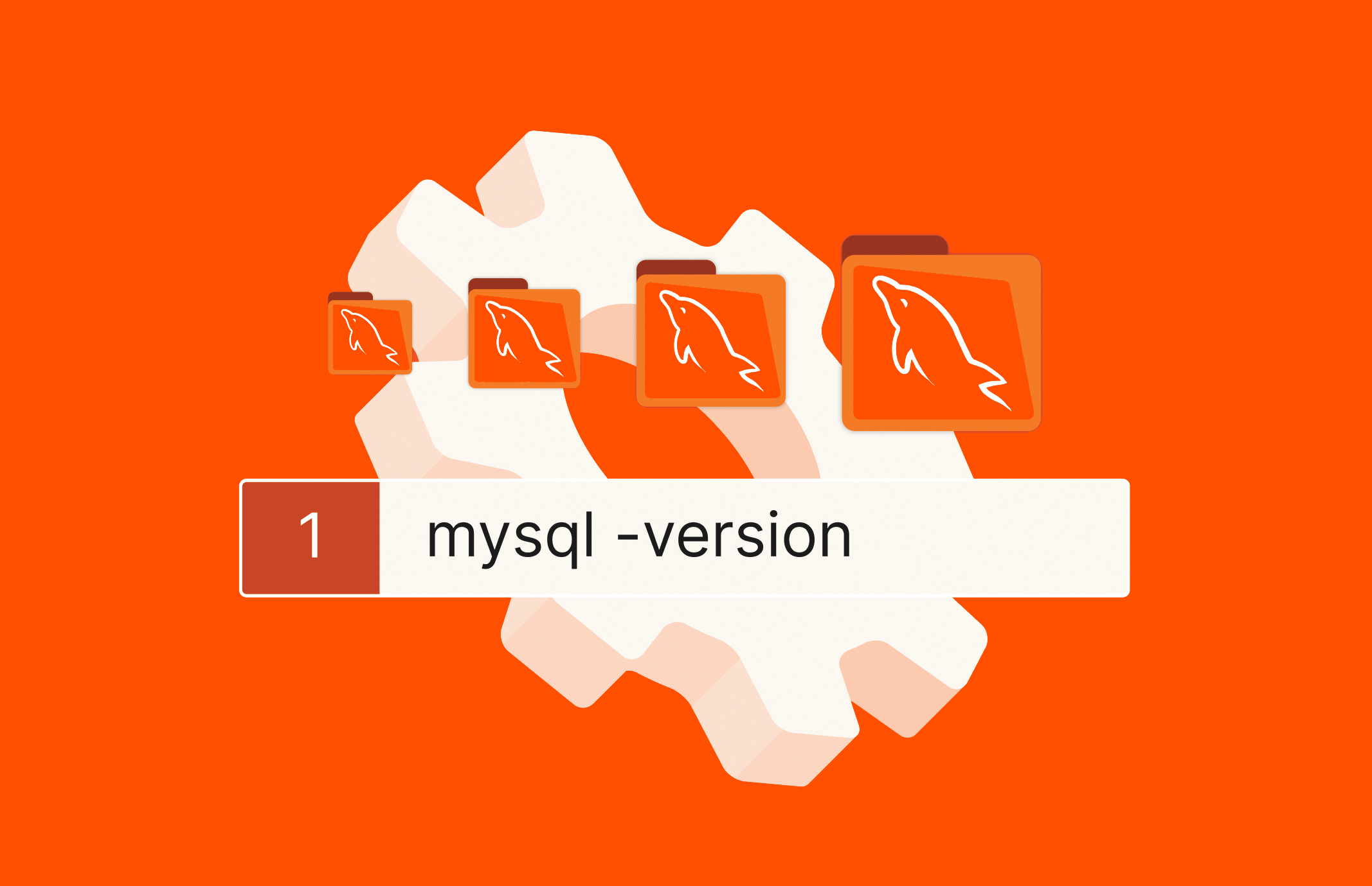 How to Use the Terminal to Check the MySQL Version