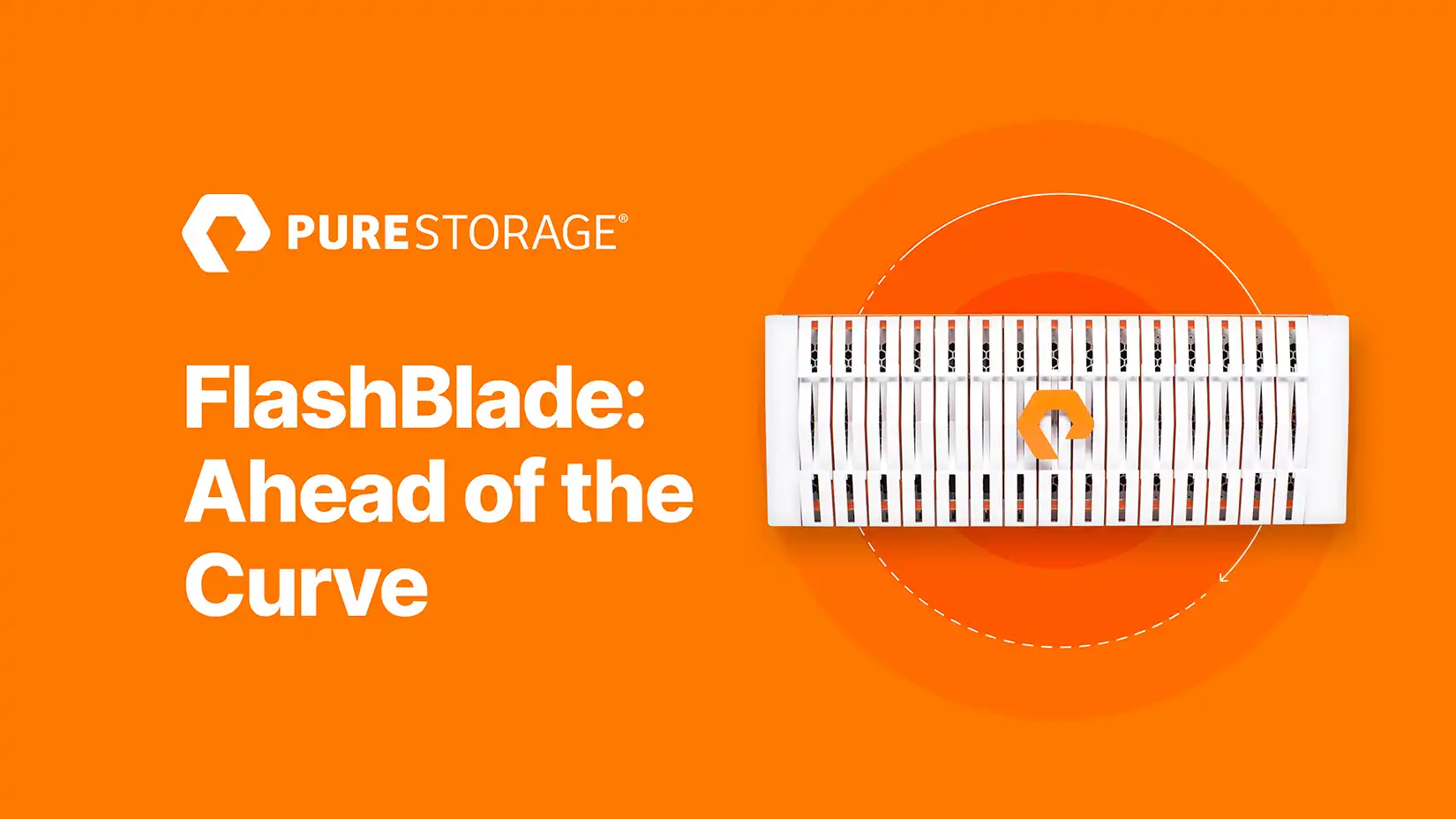 FlashBlade: Ahead of the Curve