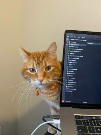 A cat next to a Monitor