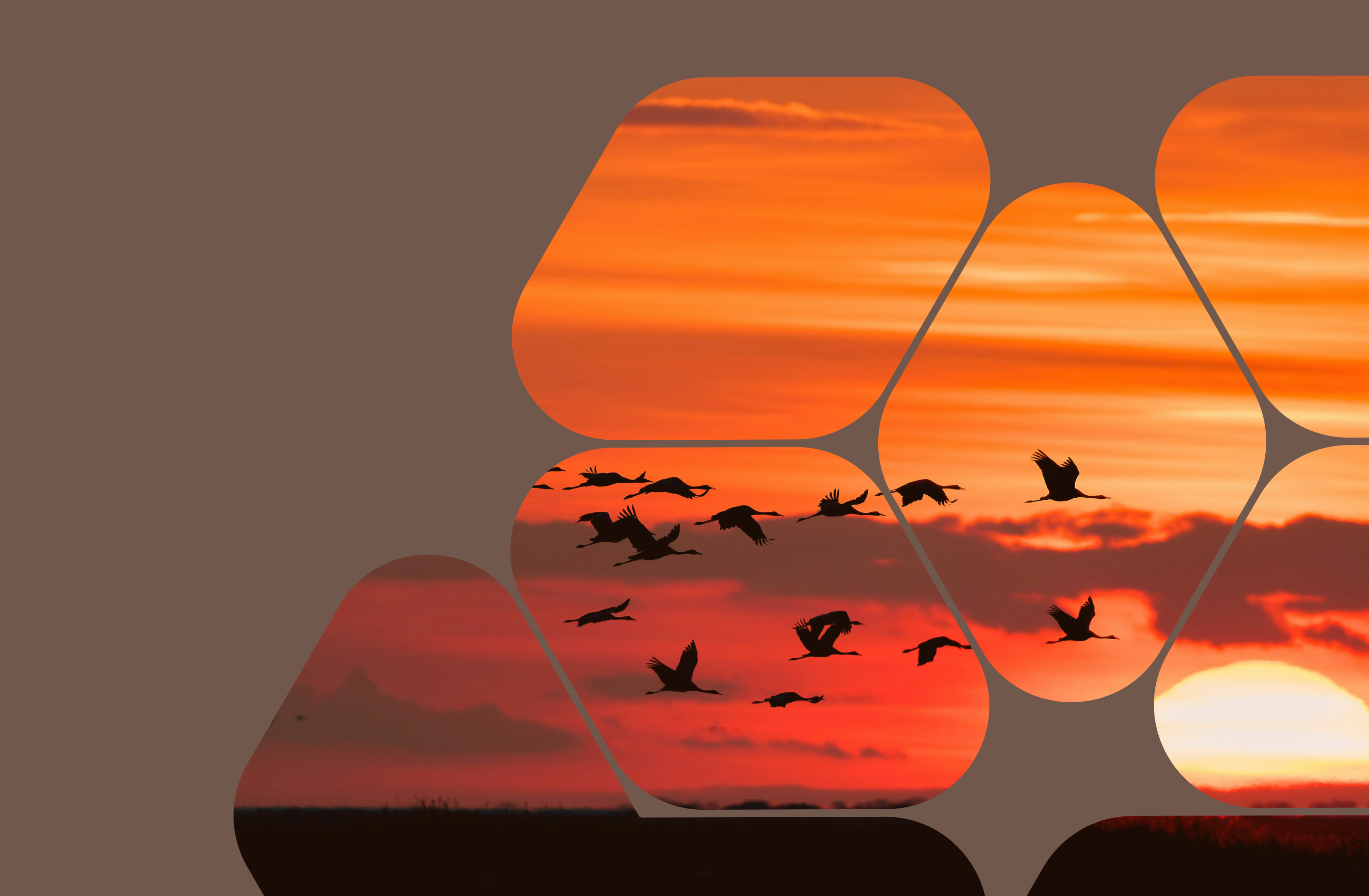 Hyper-V vs. VMware vs. Azure Local (and Others): 2026 Comparison and Migration Guide